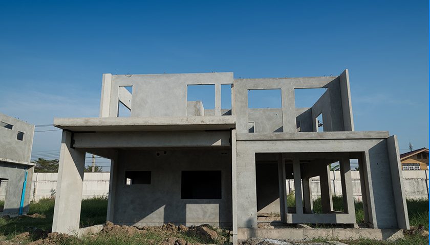 tiger-shree-house